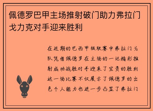 佩德罗巴甲主场推射破门助力弗拉门戈力克对手迎来胜利